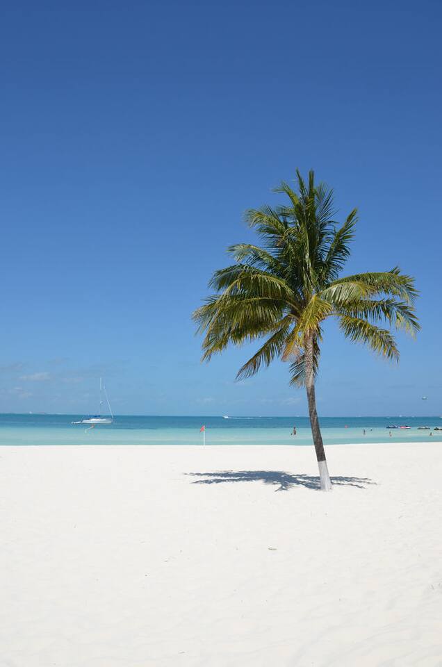 Cancun Beachfront Condo
