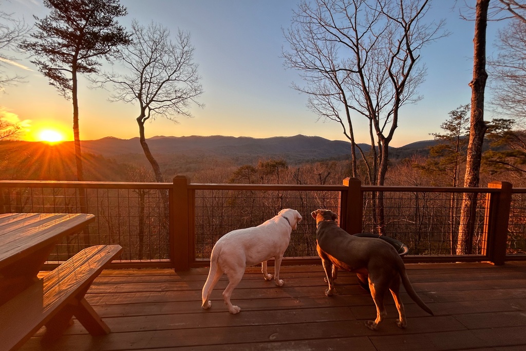 Fenced Yard *No Pet Fee *Mountain Vw *Hike on site