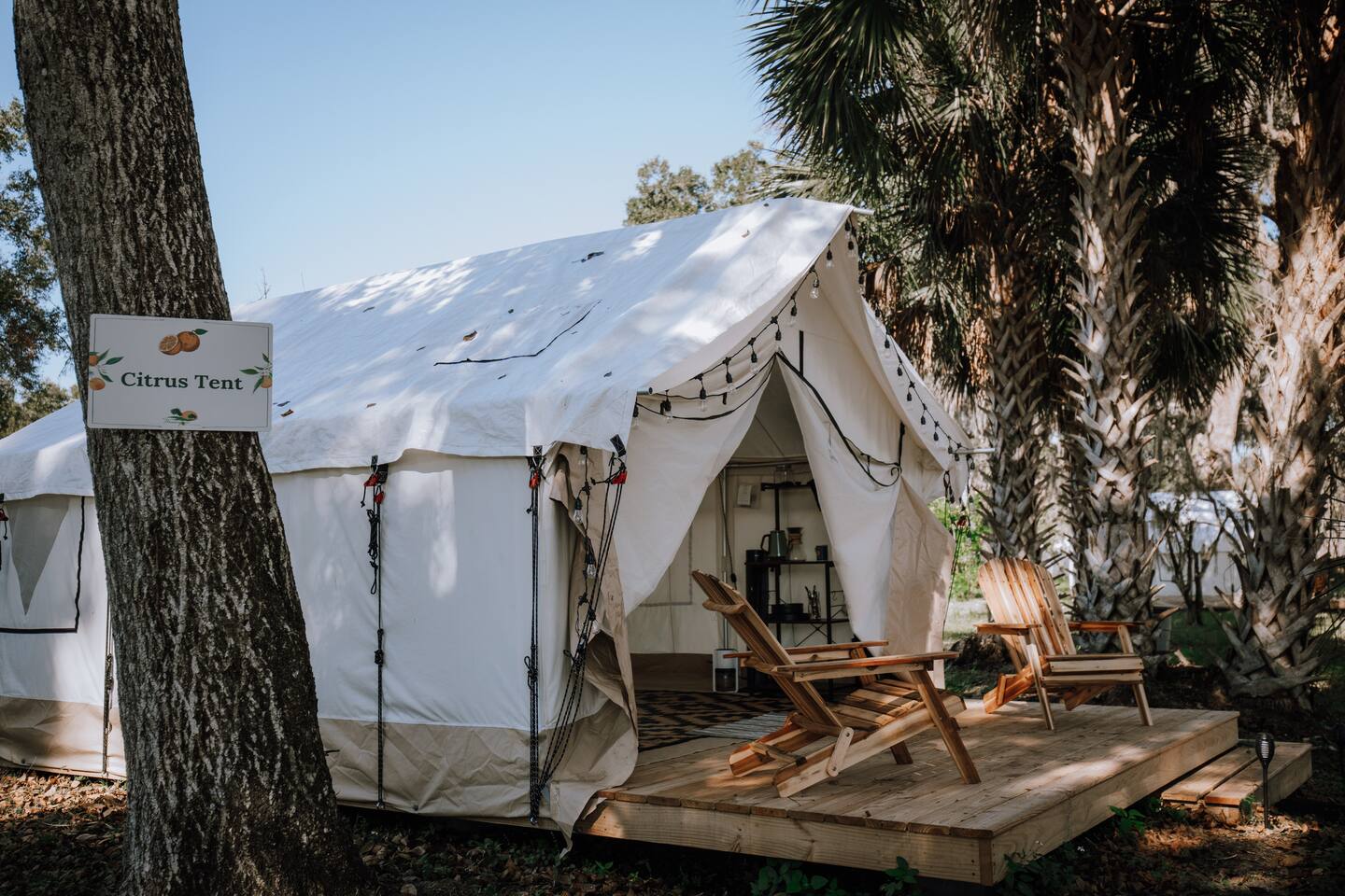 "Citrus" Tent | Glamp in a Florida Orange Grove