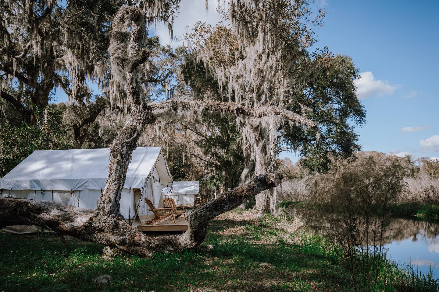 "Butterfly" Tent | Glamp on a Florida Orange Grove