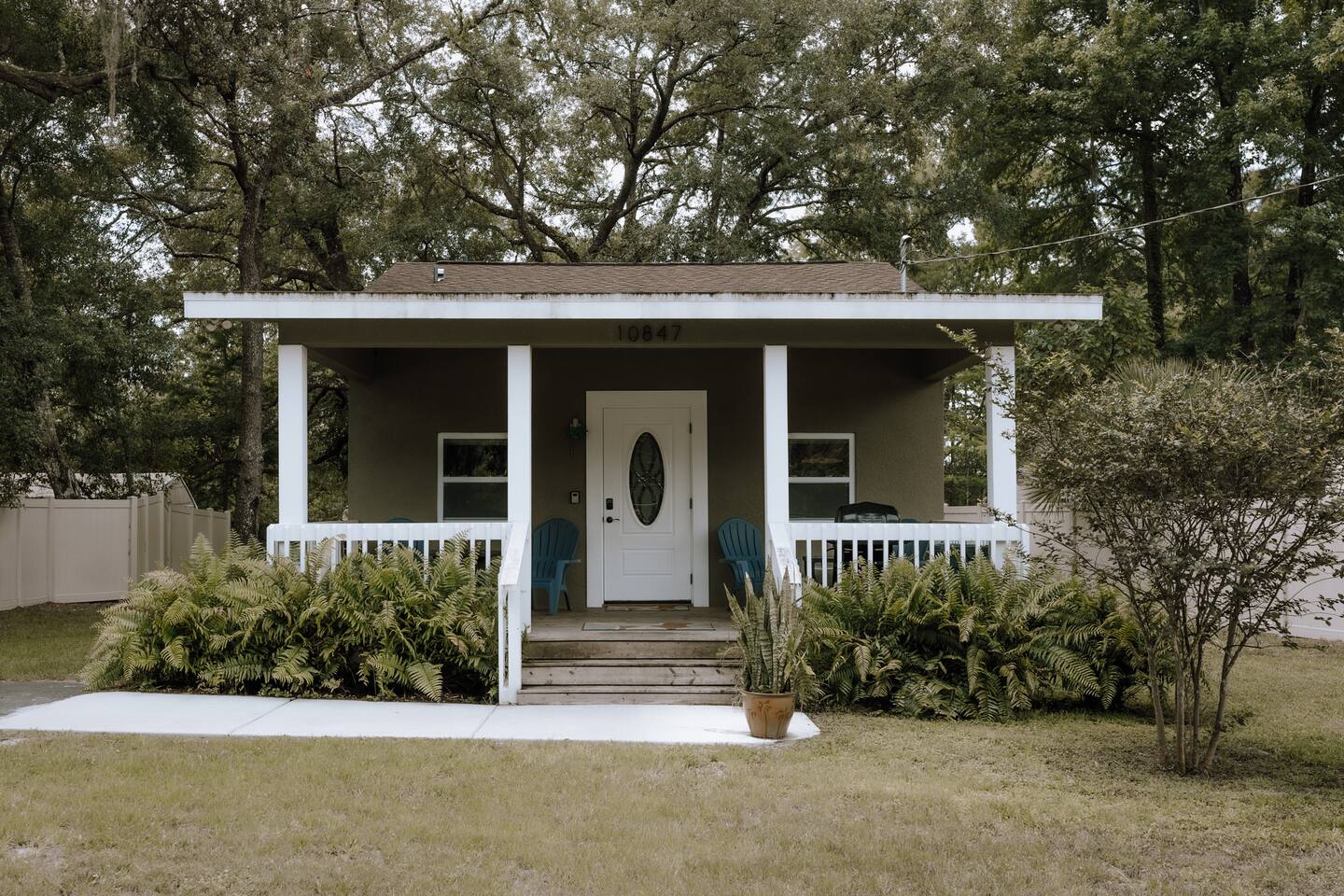 A Suite in the Swamp