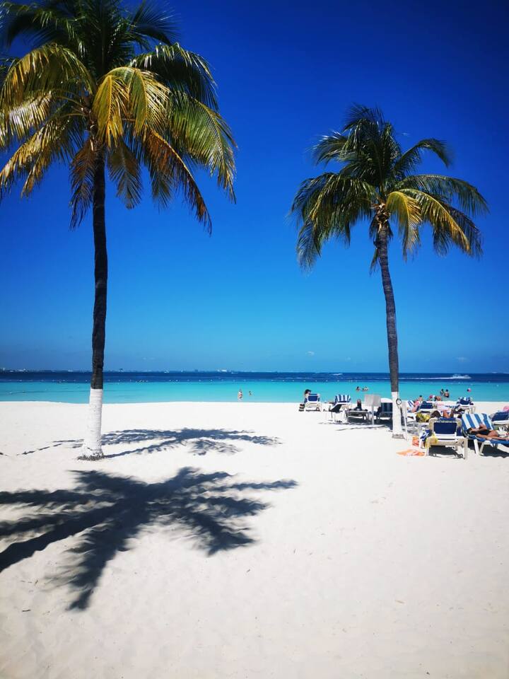 Wonderful Beachfront Condo in Cancun Hotel Zone