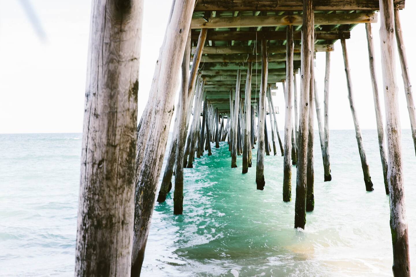 Dog Friendly! Beach Side Oasis, Steps from Beach!