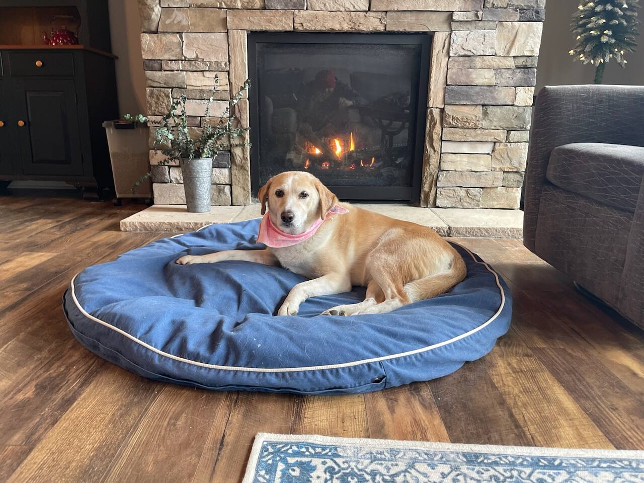 Snow Angels Overlook Chalet Expansive Views