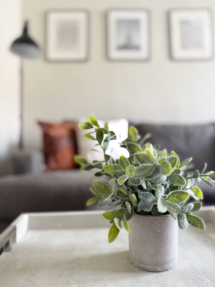 The Harrison C | KING 1BD/1BA Apt near Riverfront