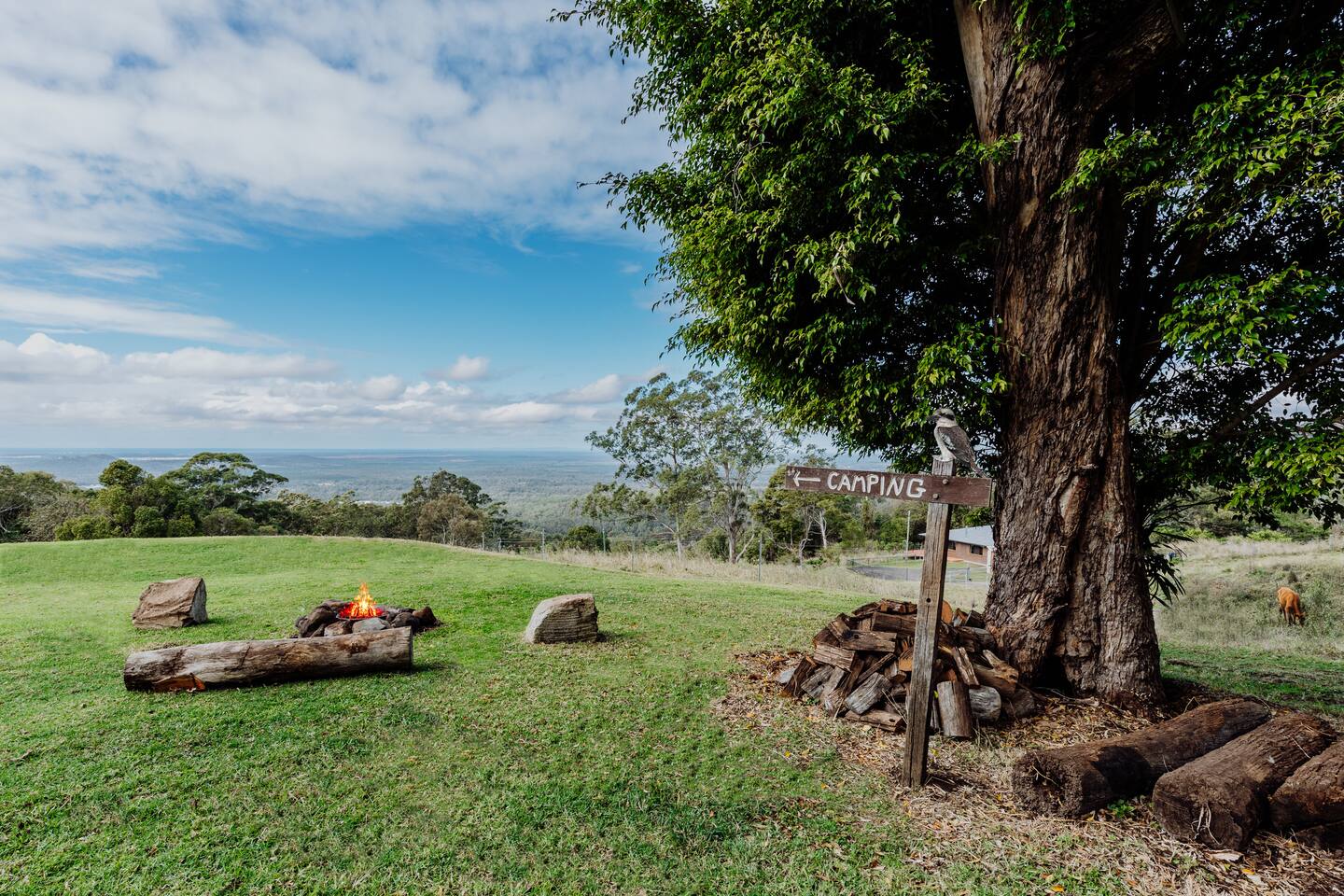 Private Acreage Oasis | Ocean Views | Pets OK