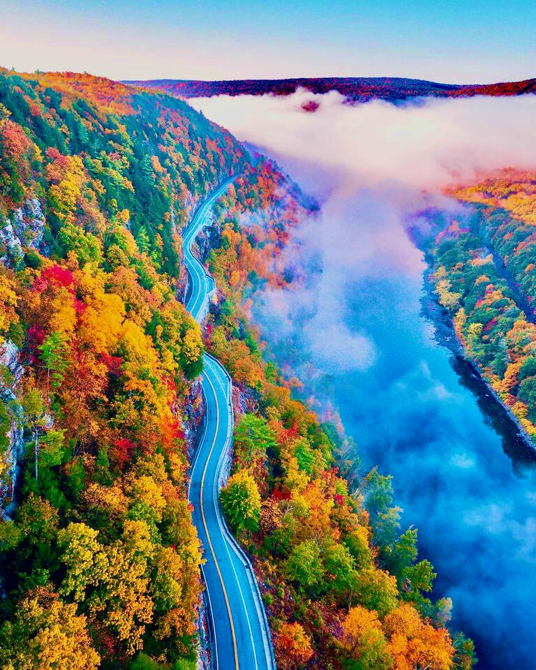 Treeview - Cozy 2 BR Apt ~1 hr from NYC Fast Wi-fi