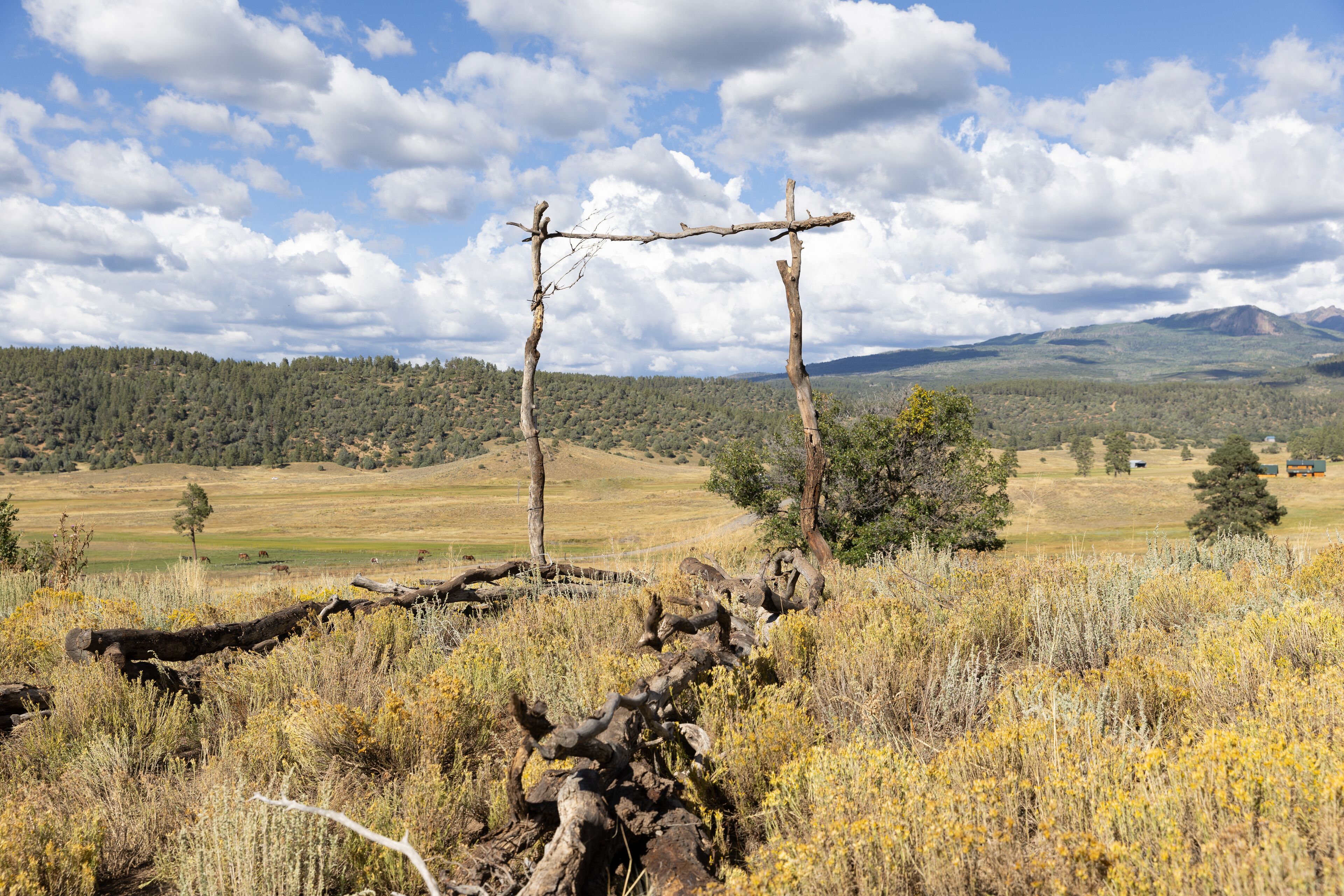 Perfect elopement spot! Ask for details about available officiants, photogs, etc