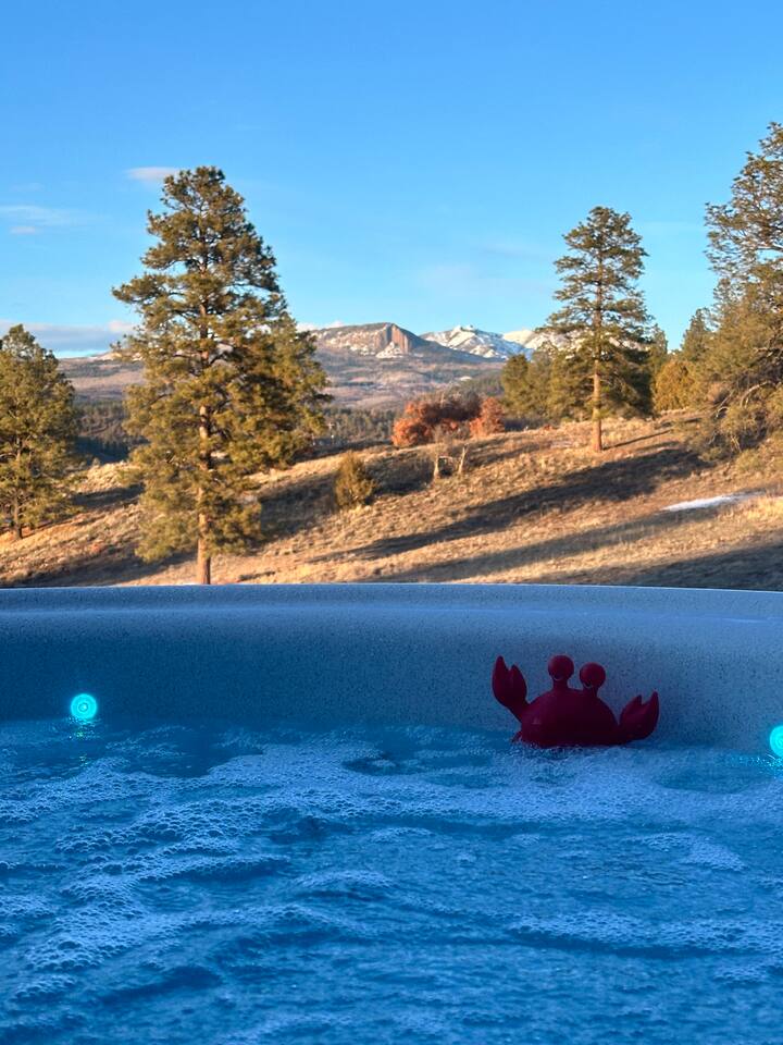 Our hot tub is called “Hidden Spring” and is professionally serviced every week so every guests gets to enjoy this incredible view.