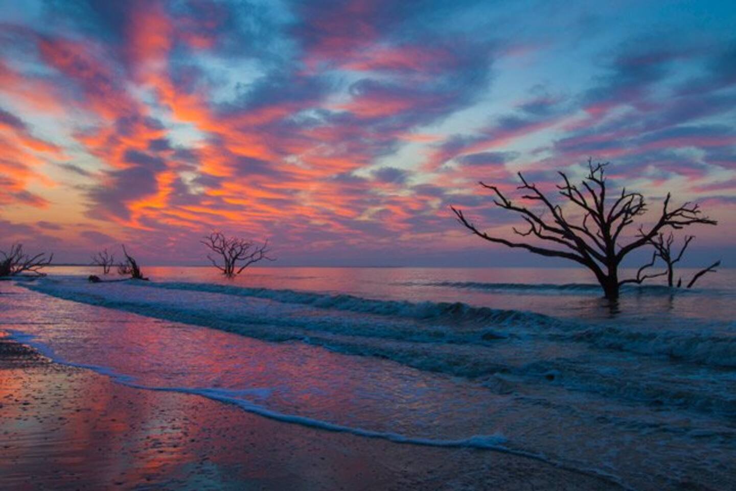 Famous Botany Bay and It's Notorious "Boneyard Beach" …..

The Focus of So Many Lowcountry Art Galleries

One of The Most Dramatically Unique Seascapes

-3 minutes from the neighborhood