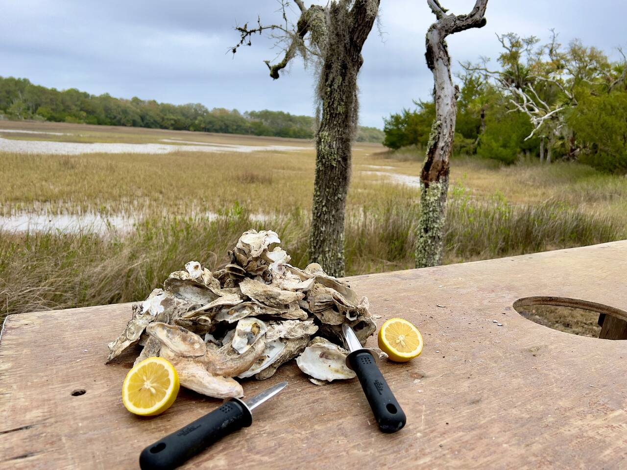 Oyster Shots Anyone? 

Oyster Table Included For The Full Lowcountry ACE Basin Experience

Message Us About An Oyster Steaming Kit As Well
