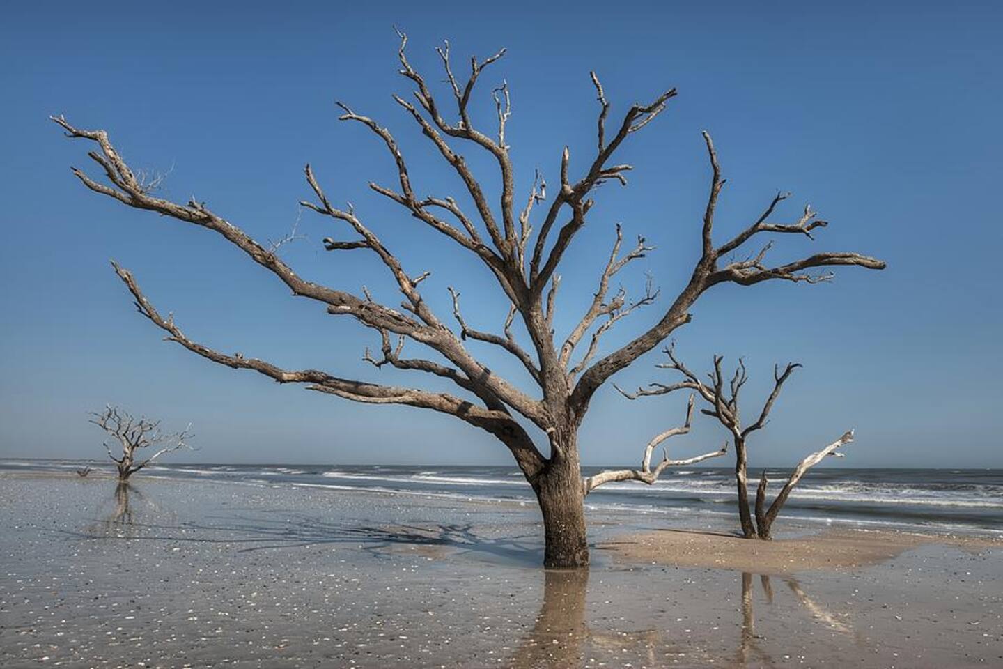 The Beach at Botany Should Be on Your Bucket List and JUNGLE SURF is Perfect For Your Adventures
