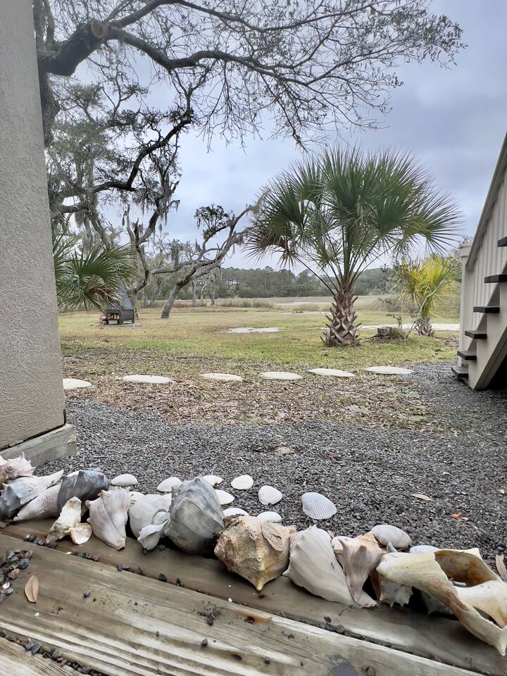 So Many Shells So Little Time.

Edisto Beach Has Some Of The Best Sea Shells Wash Ashore in The Carolinas....