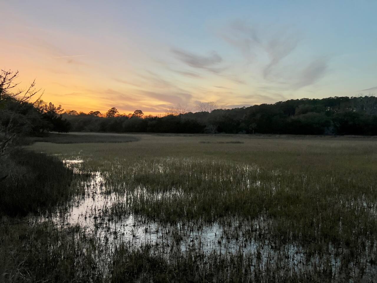 No Redfish Tonight But Keep An Eye Out During Big Flood Tides!