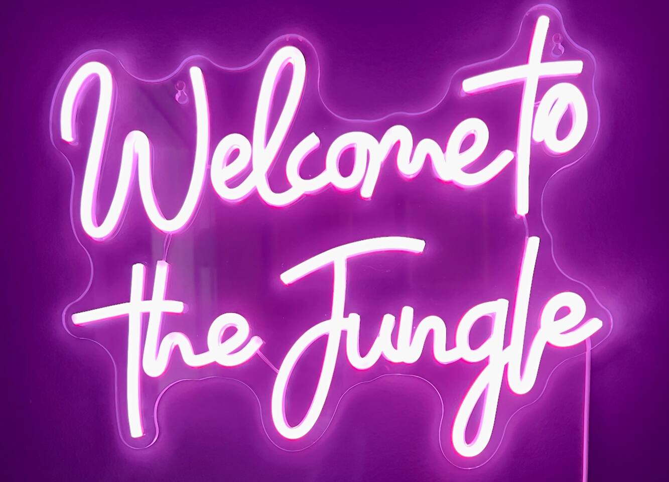 JUNGLE SURF was redesigned and decorated/curated in late 2022 to amplify the property's unique aura and vibe with the surrounding natural environment