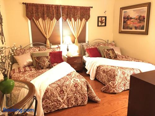 Zest Economy Double Full Bed
