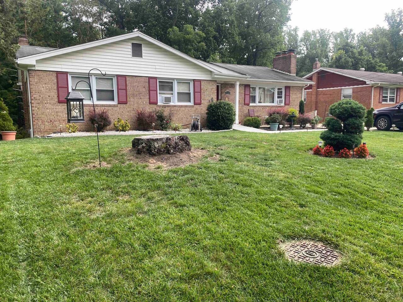 Rest Suite Economy Queen