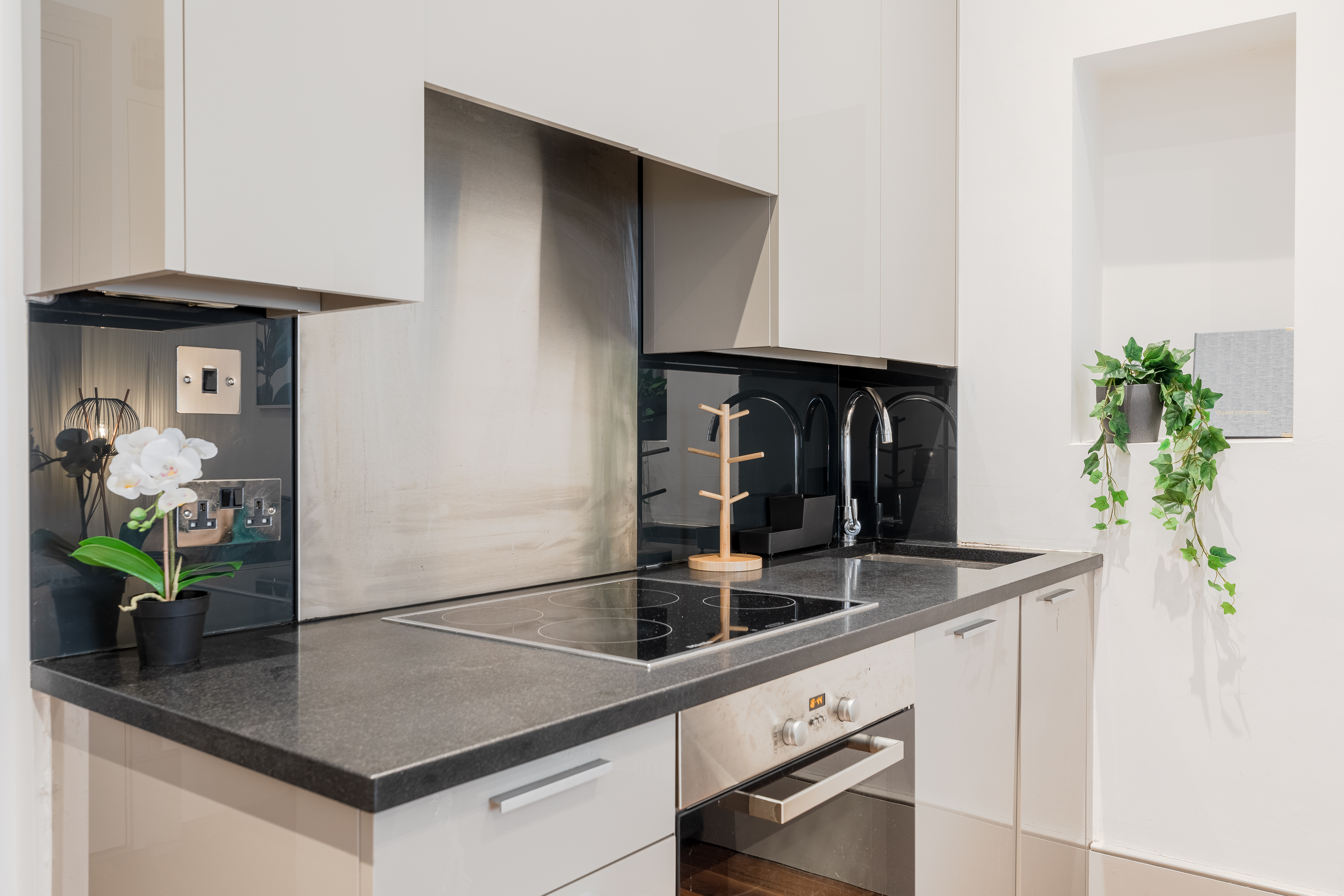 District/zone 1 London apartment