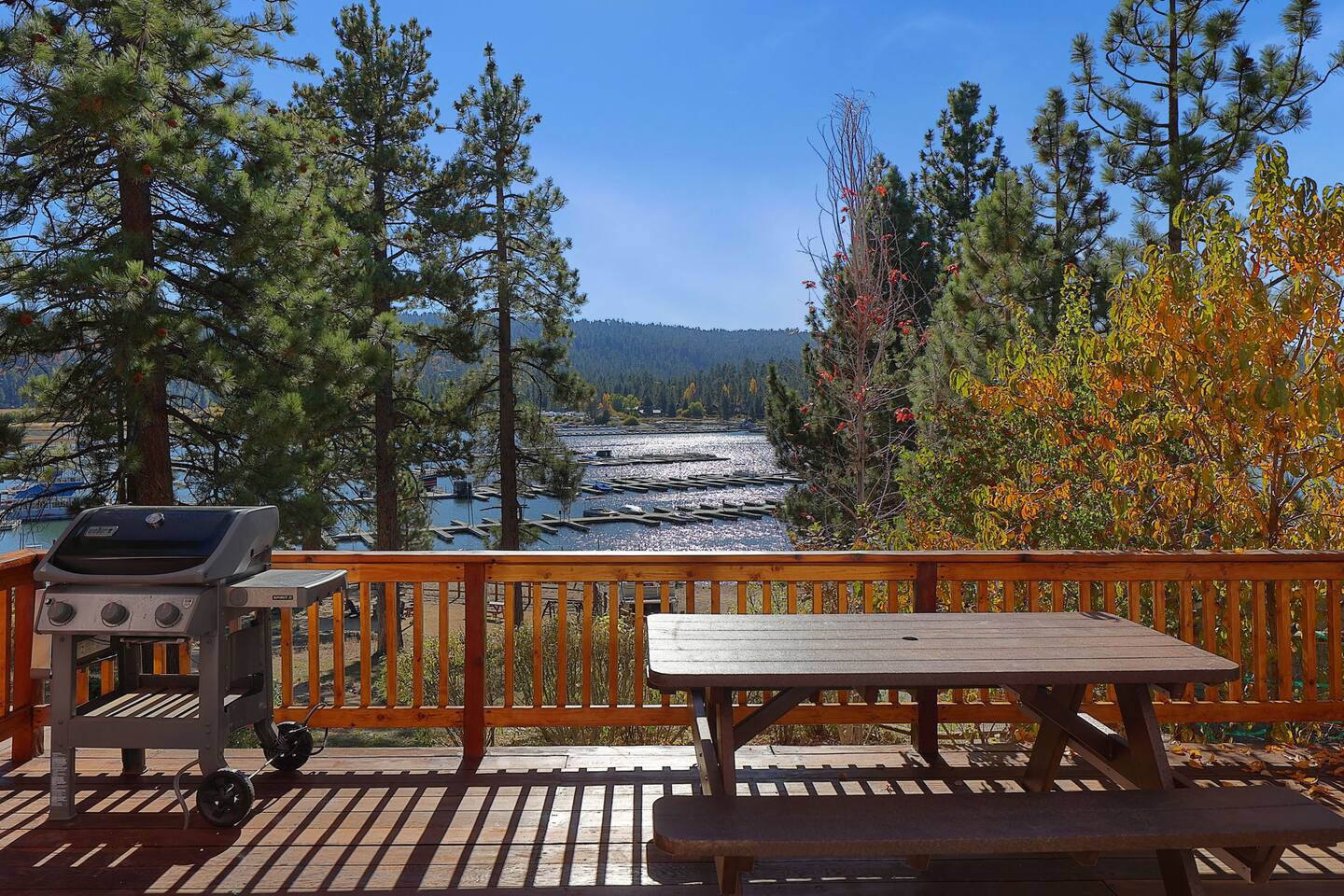 Lakefront w/Lake Views, Fenced in Dog Yard, Dock