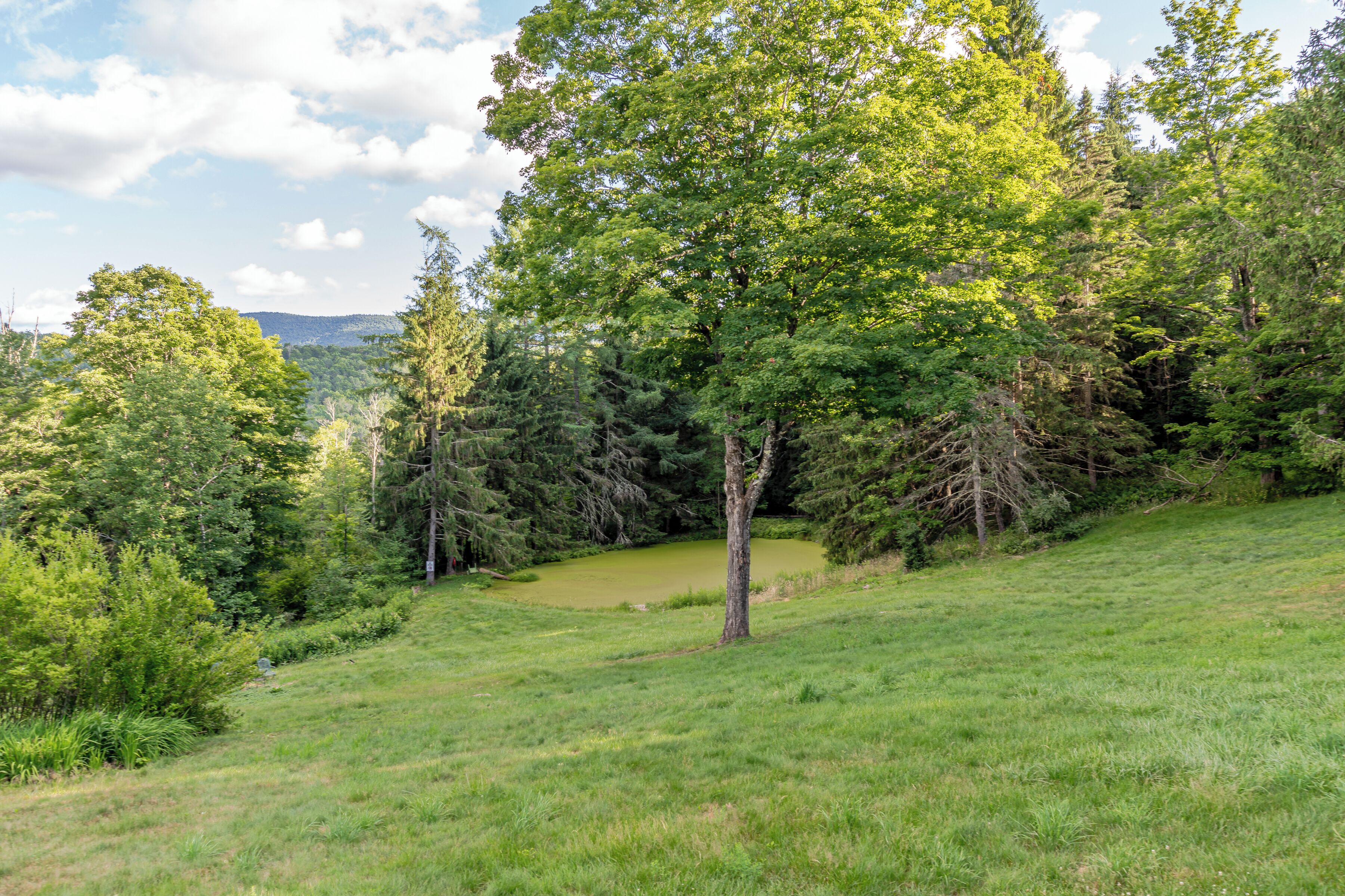 Private lawn with wooded pond and peaceful mountain views