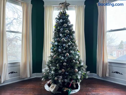 The Rose Inn D | KING 1BD/1BA Apt near Downtown