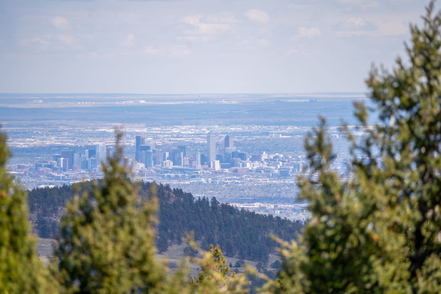 The Denver skyline in the distance beyond pine-covered foothills