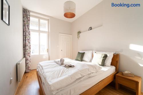 Spielberg Castle View Rooms in the Center of Brno