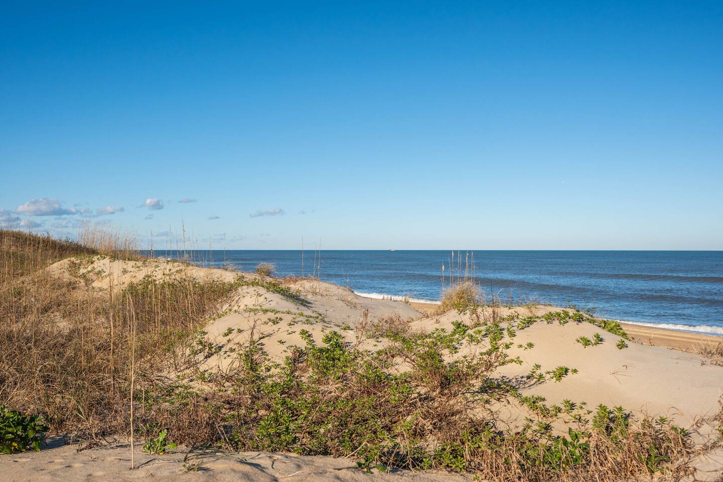 Dog-Friendly Oceanfront Retreat with Pool & More!