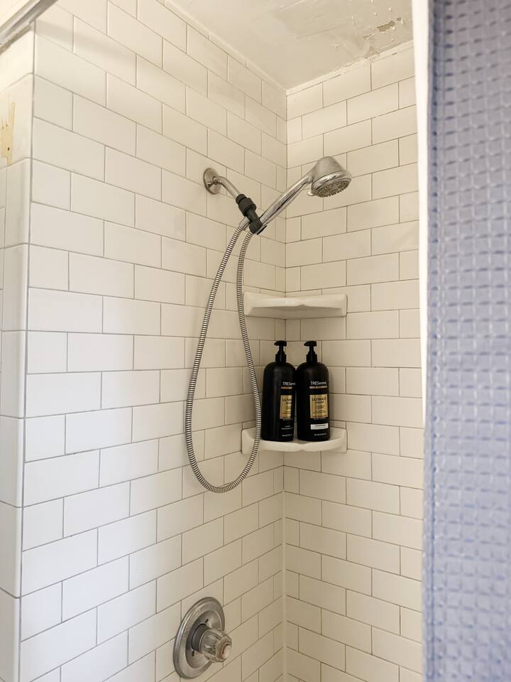 Spring Street Suites B | QUEEN 3BD/1BA Stylish Apt photo 4