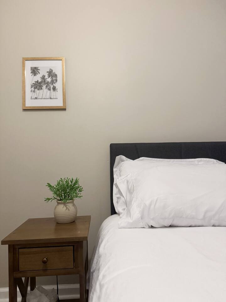 Spring Street Suites B | QUEEN 3BD/1BA Stylish Apt