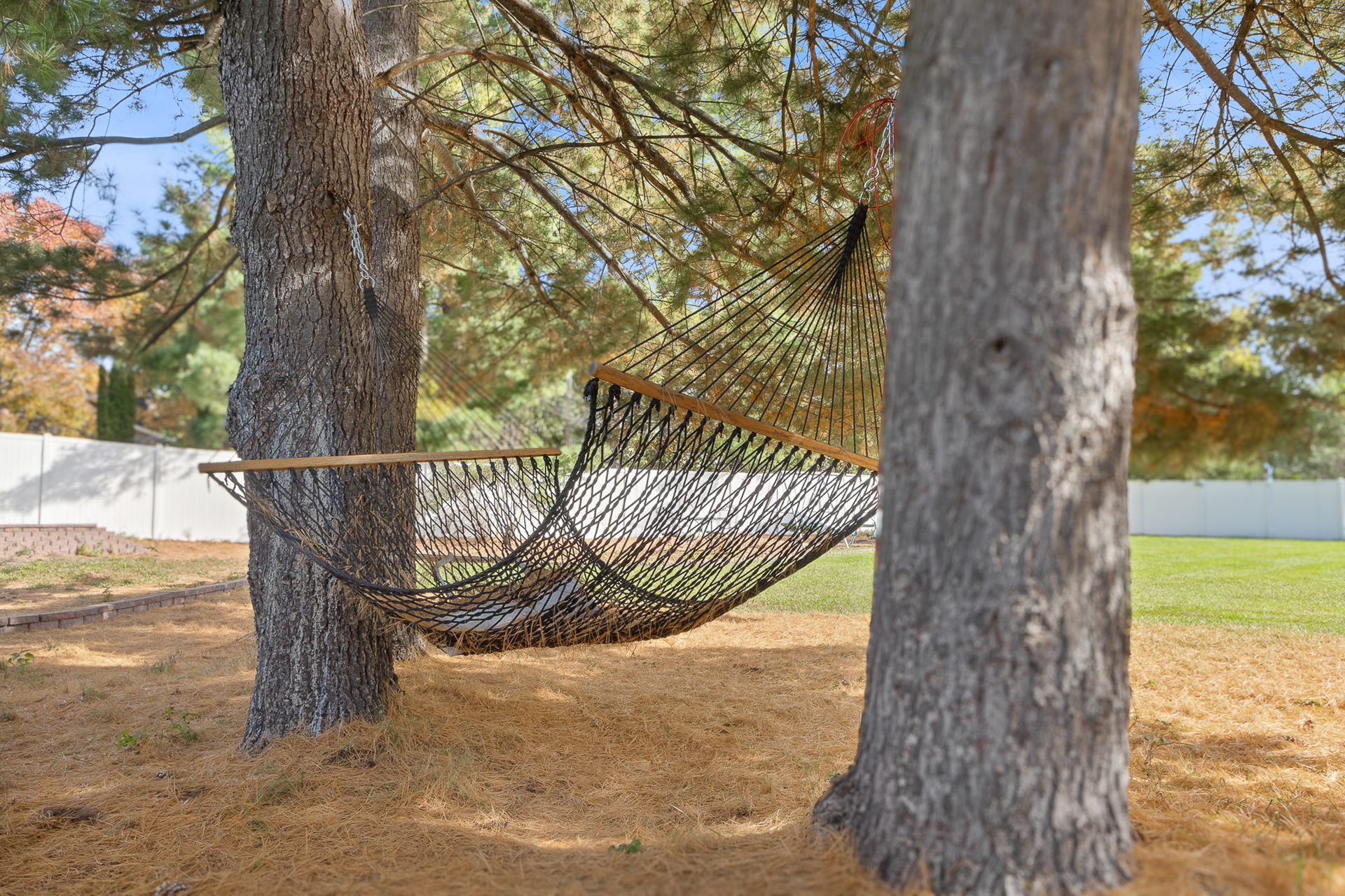 Shaded backyard hammock retreat in a private, peaceful yard