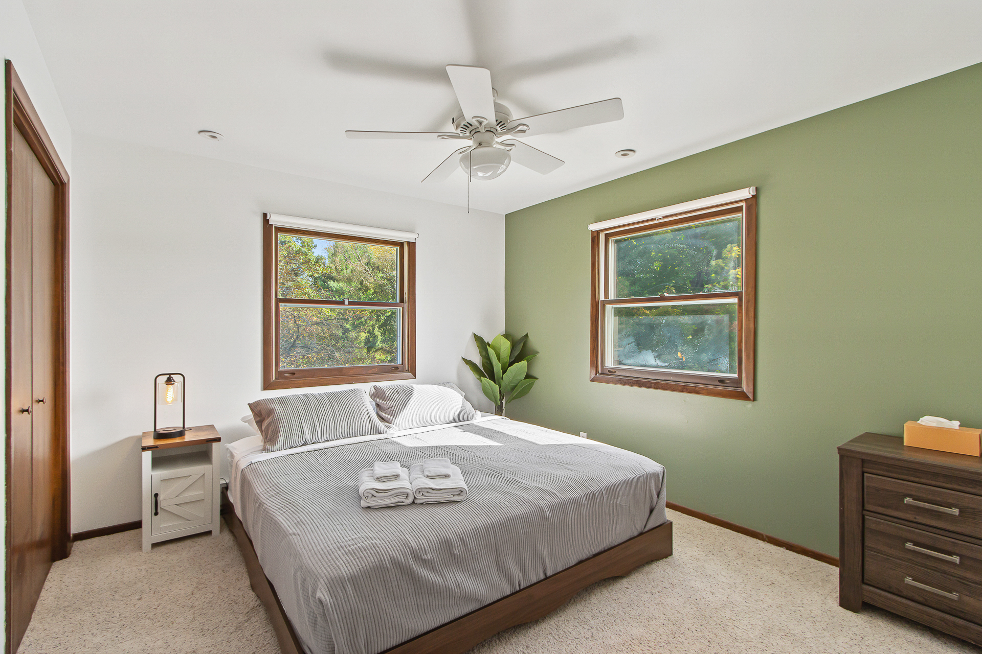 Bright, cozy bedroom with leafy views and a calming accent wall