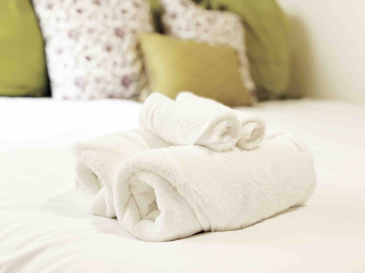 The Cardinal 810 A | KING 1BD/1BA Apt