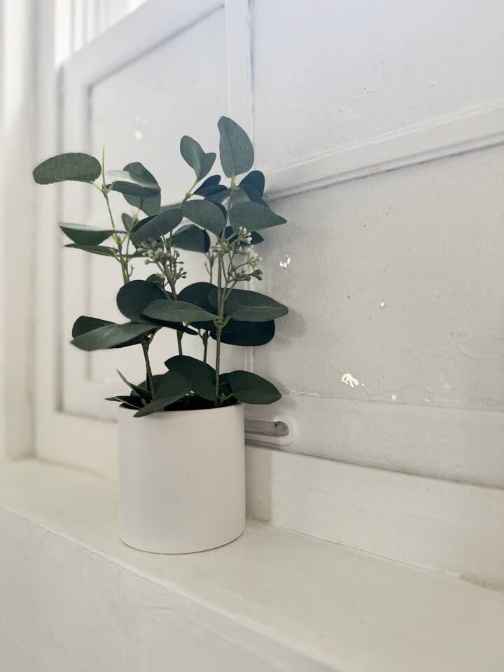 The Cardinal 810 B | QUEEN 1BD/1BA Studio Apt