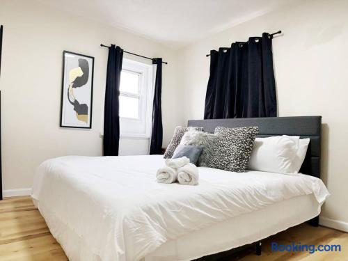 The Cardinal 810 C | QUEEN 1BD/1BA Studio Apt