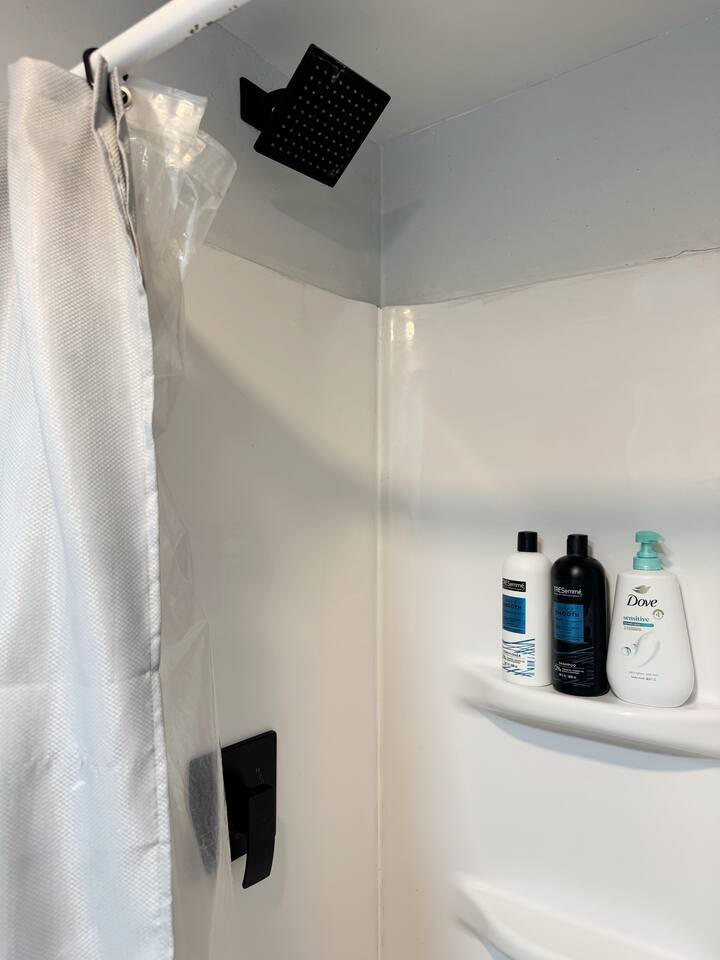 The Cardinal 810 C | QUEEN 1BD/1BA Studio Apt