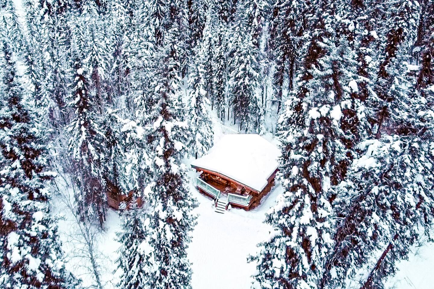 Aurora Watch: Private Log Cabin & Northern Lights