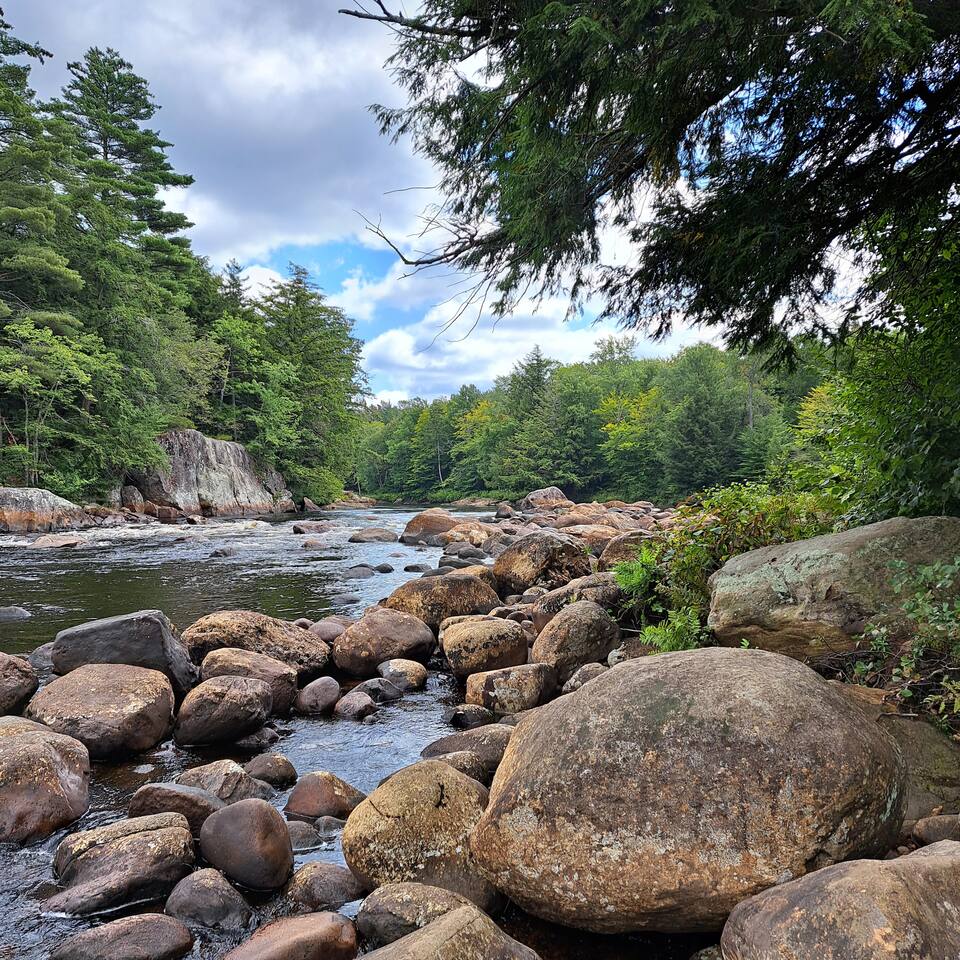 Rustic Cabin Among Pines, Near Moose River