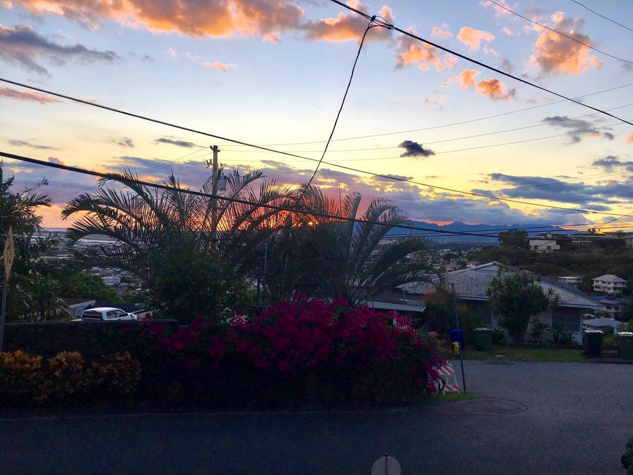 30+ day stays in Honolulu Studio