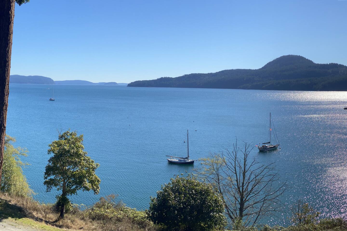 Ocean-front unit, views, hiking