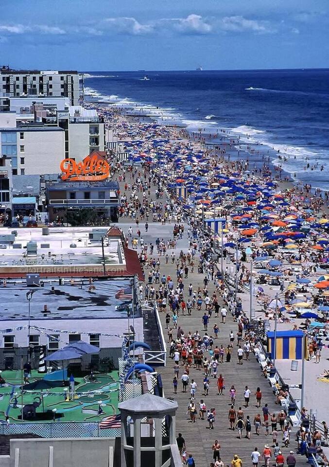 Forever Young in Rehoboth Beach photo 38