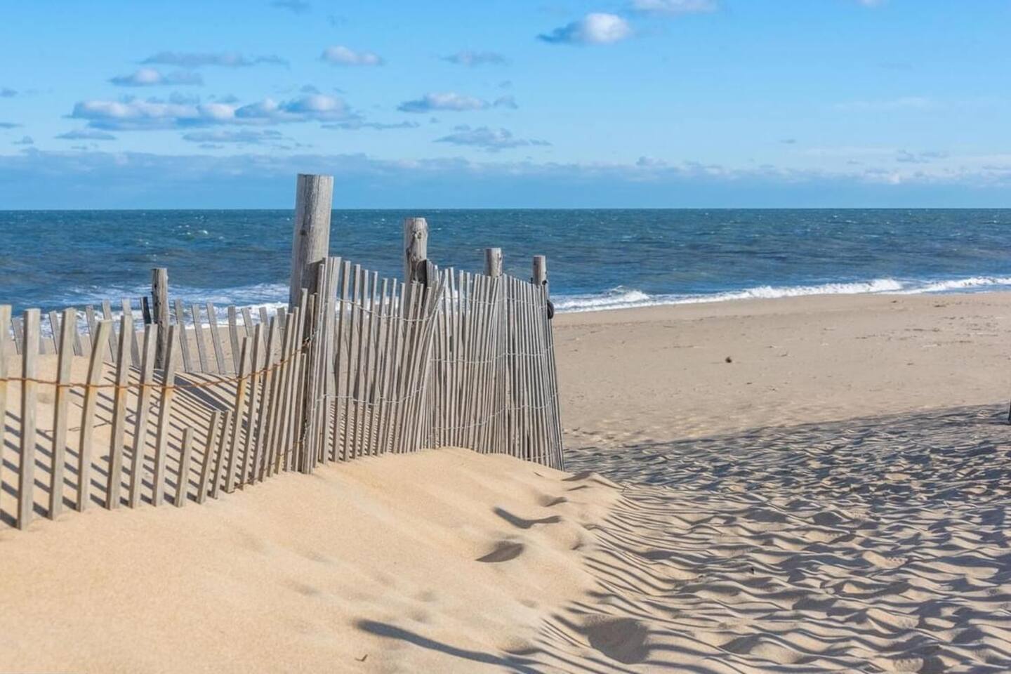 Forever Young in Rehoboth Beach photo 36