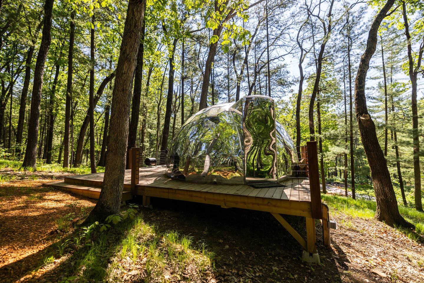Dells Domes - Whiskey's Landing - Glamping Dome 2