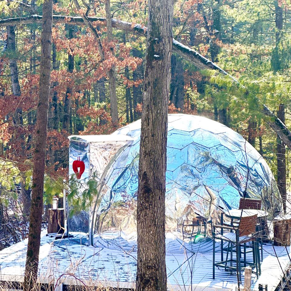 Dells Domes- Woodland Haven -Dome 3
