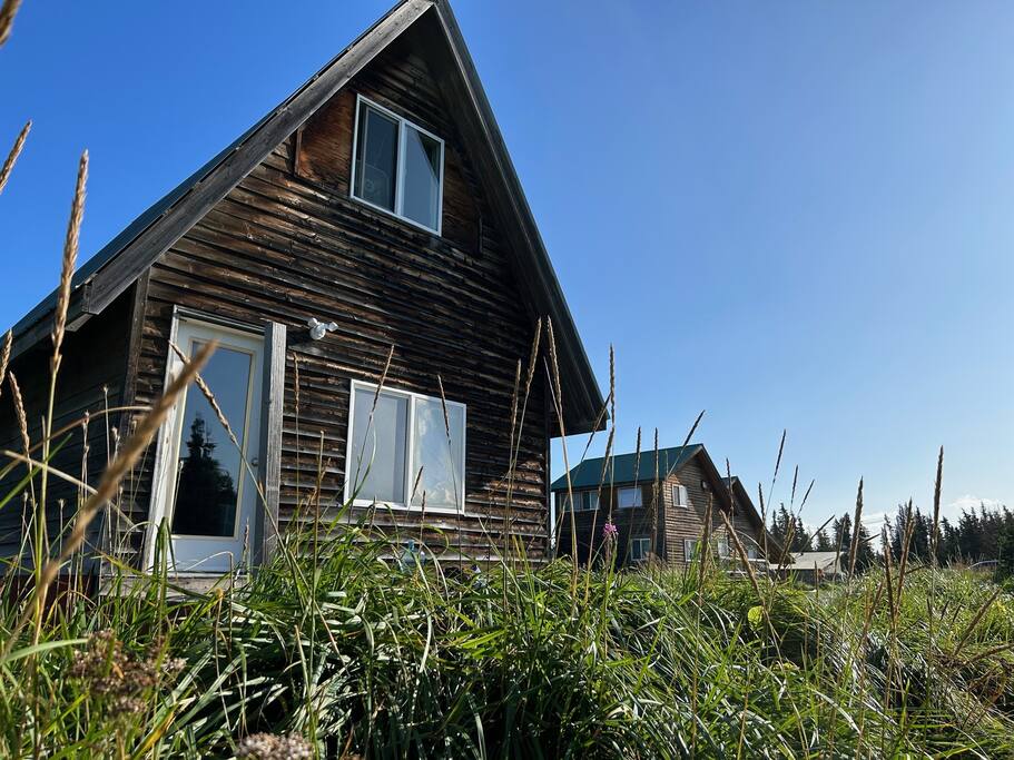 Kenai Beachfront Cabin 2