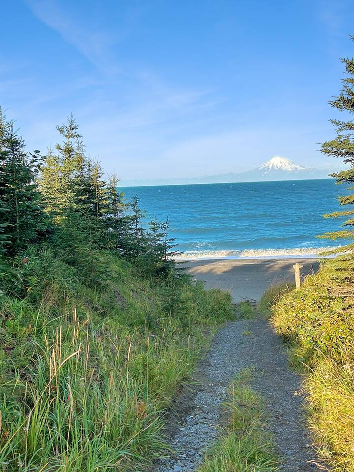 Kenai Beachfront Cabin 5 - Rustic Alaskan Cabin