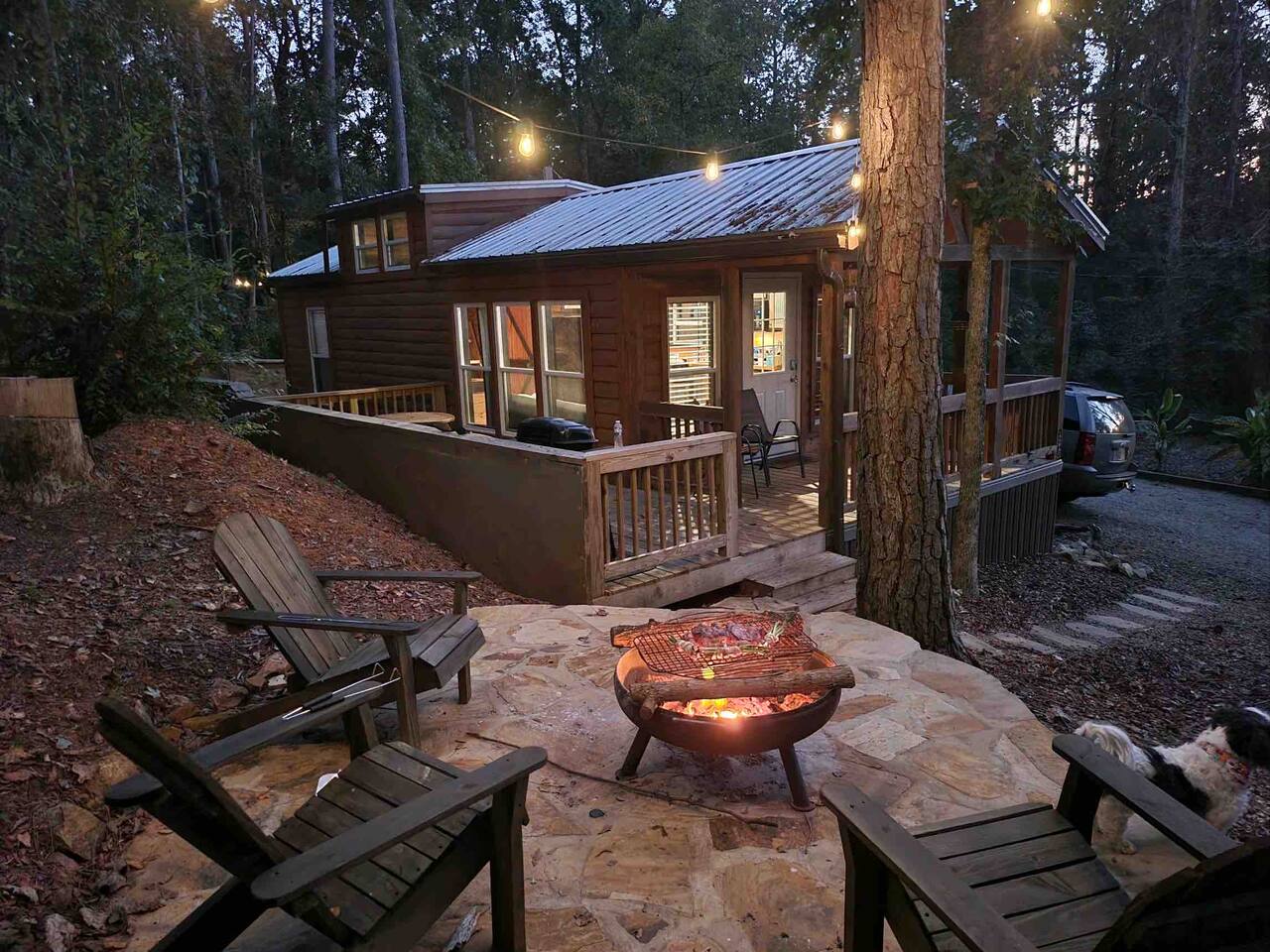Natures Cove Cabin A-kayaks/fire pit/pet friendly