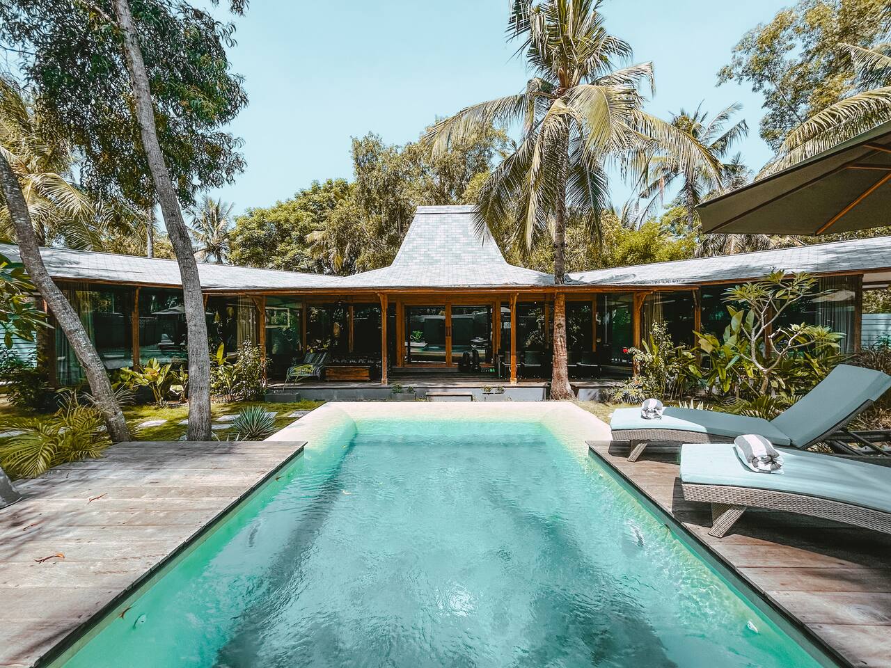 Brand New/Unique Pool/Modern traditional/Harimau