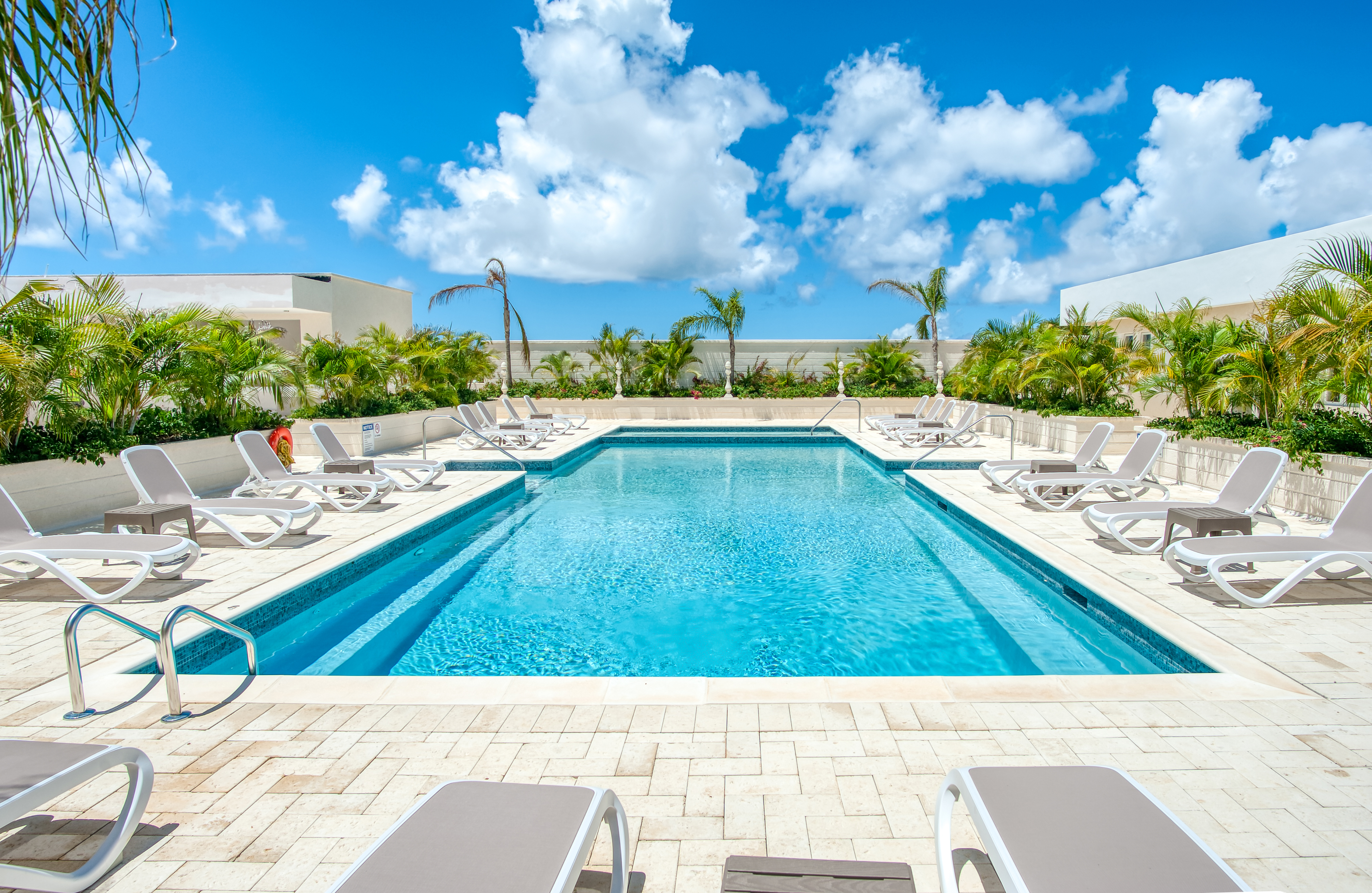 Resort-style pool with tropical landscaping and sunny lounge seating