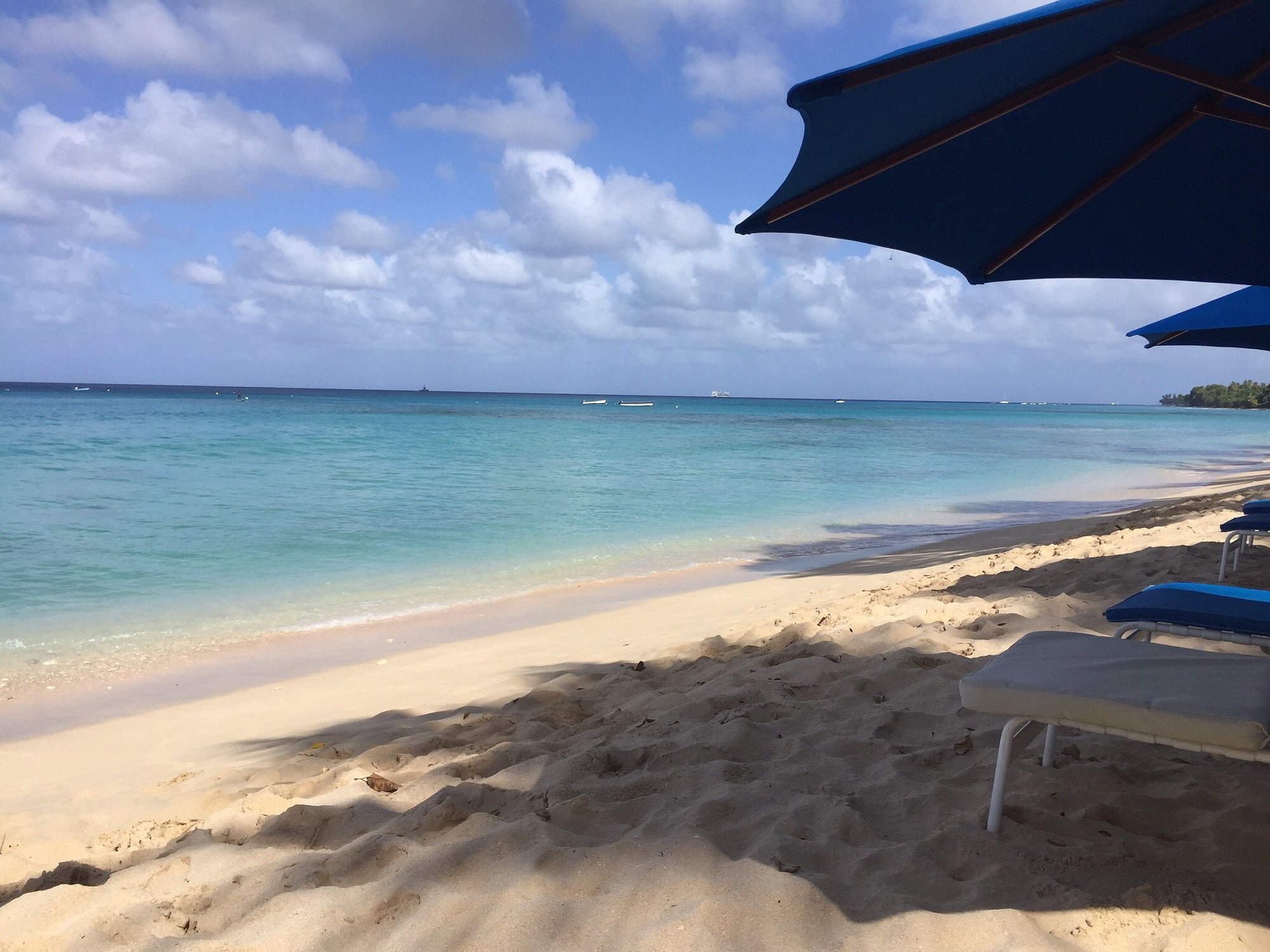Relax on a shaded white-sand beach with calm turquoise ocean views
